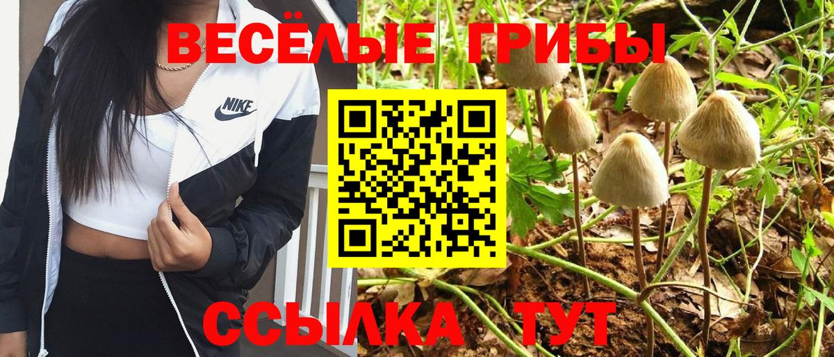 Моршанск  Галлюциногенные грибы ЛСД  Вход с VPN 