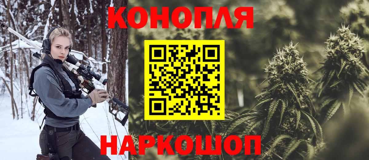 Бошки Шишки конопля Моршанск